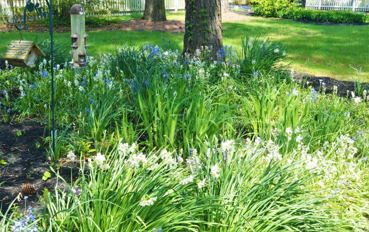 Meris Gardens B&B Bethany Beach Exterior photo